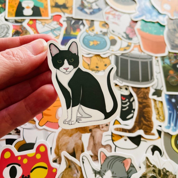 Pegatinas de dibujos animados de gatos, Diseños únicos