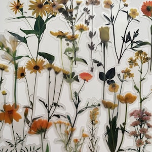Lot de 20 autocollants en vinyle transparent avec fleurs sauvages, ensemble réutilisable imperméable, pétales de fleuriste, fleurs transparentes, tige de marguerite, carnet d'oeuvres d'art en verre