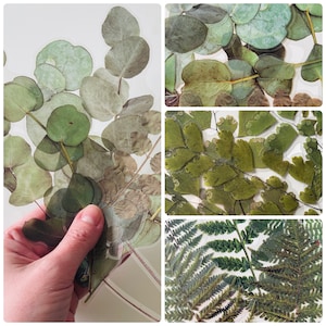 6 pegatinas grandes de vinilo transparente con hojas, impermeables y reutilizables, hojas verdes prensadas transparentes, follaje de helecho, planta de jardín, diario, libro de manualidades