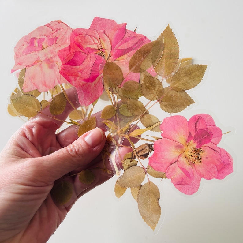 6 große transparente Vinyl Wildblumen Aufkleber, wasserdicht wiederverwendbar, klar gepresste Blume Blumenstamm Rose Sonnenblume, Journal Card Craft Bild 10