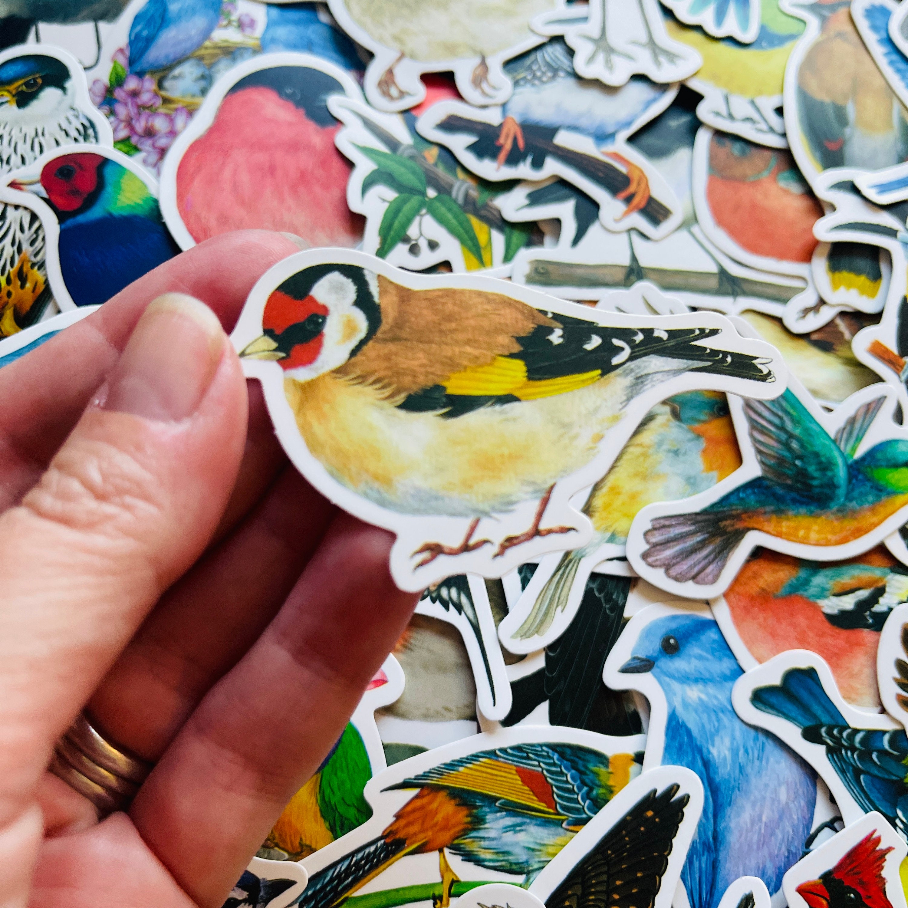 25/50 Vinyl Garden Bird Stickers, Die Cut Decal Set, Waterproof ...