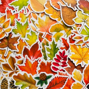 Adesivos de vinil com folhas de outono 25/50, conjunto de decalques recortados, à prova d'água e reutilizáveis, árvore da floresta de inverno, folha de carvalho e bolota, decoração, laptop, artesanato, arte
