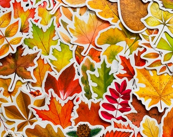 25/50 Vinyl Autumn Leaves Stickers, Die Cut Decal Set, Waterproof Reusable, Winter Woodland Tree Fall Oak Leaf Acorn, Decor Laptop Craft Art