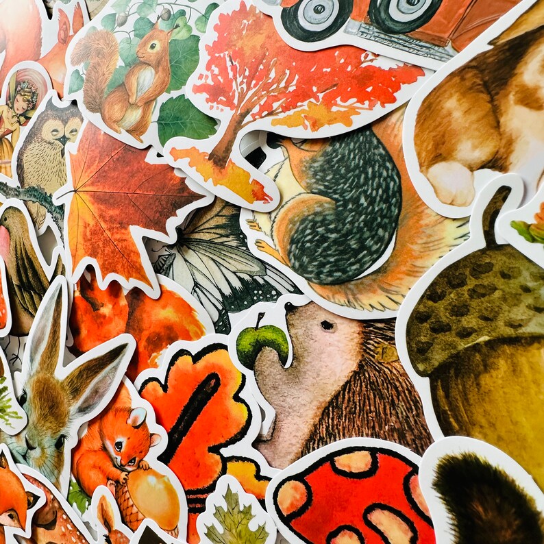 Op de afbeelding: Een verzameling kleurrijke herfst-illustraties met bladeren, eekhoorns, vlinders en eikels. De illustraties zijn getekend in een speelse stijl en perfect om een ​​herfsttint aan elk project toe te voegen.