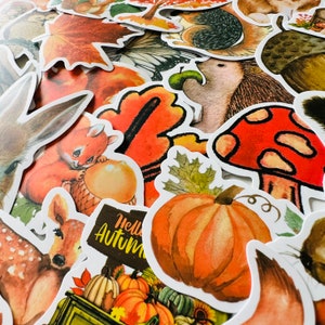 Op de afbeelding: Een verzameling herfst-stickers met illustraties van pompoenen, paddenstoelen, bladeren, eekhoorns, herten en een egel. De stickers hebben een aquarel-achtige stijl en zijn gedrukt op wit papier.