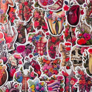 Juego de pegatinas troqueladas de esqueleto de órganos humanos (25/50), impermeables y reutilizables, ideal como regalo para médicos, enfermeras y cirujanos, con diseño floral gótico.