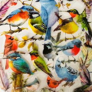 Pacote com 20 adesivos de pássaros transparentes de vinil, conjunto reutilizável à prova d'água, penas de jardim coloridas transparentes, observador de robin, cartão de diário, artesanato em vidro