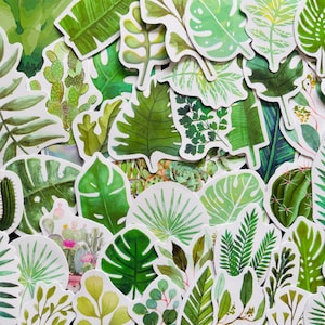 30/60 vinyl groen blad stickers, gestanste sticker set, waterdicht herbruikbaar, plant bloem bladeren palm jungle bos bos, decor laptop ambacht