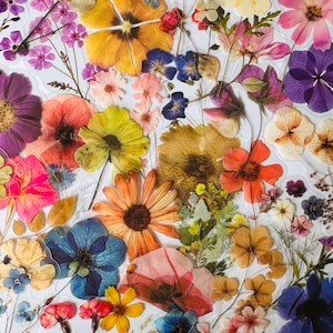Pacote de adesivos de vinil transparentes com 25/50 flores, conjunto reutilizável à prova d'água, diário de scrapbook vívido, cartão de vidro artesanal, decoração de plantas com pétalas florais