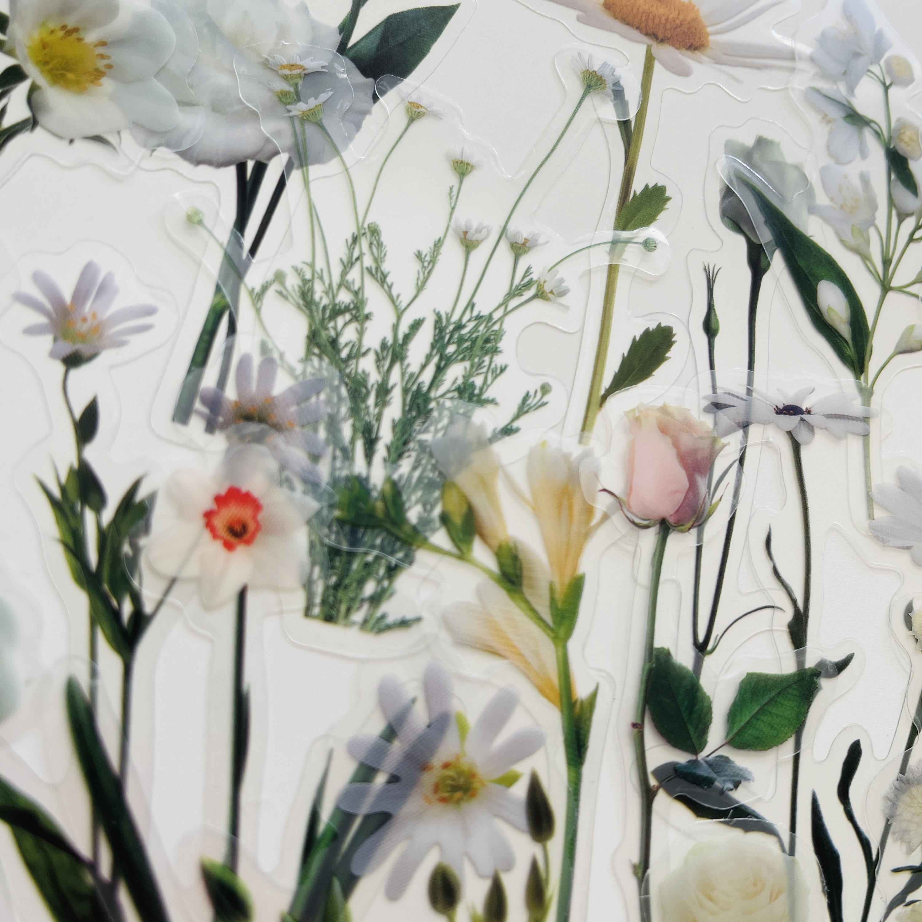 Adesivi Per CAMPER Grafica In Vinile Adesivi Decalcomanie Strisce Set Camper Van Roulotte Motorhome Grafica 22