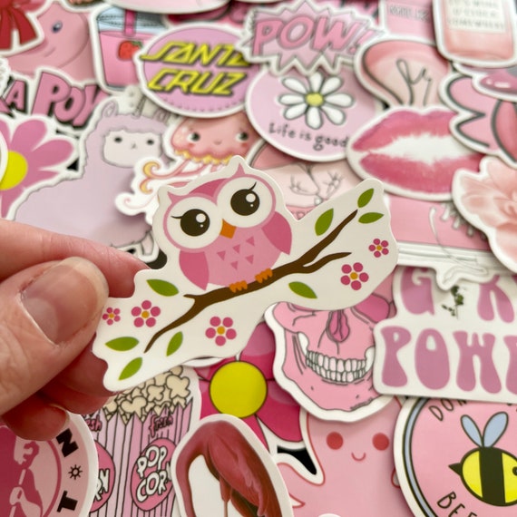 50 Pcs Pink cute Sticker Pack, PVC Vinyl, Girls Skateboard Laptop Decal Bomb