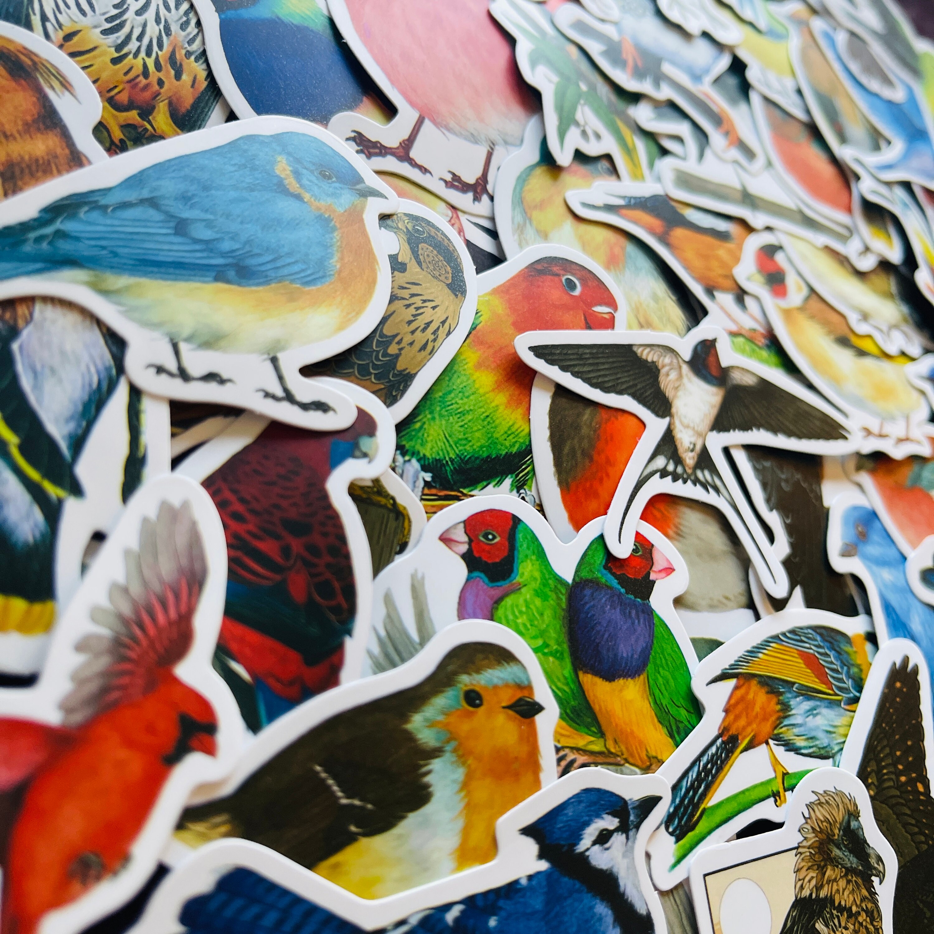 25/50 Vinyl Garden Bird Stickers, Die Cut Decal Set, Waterproof ...