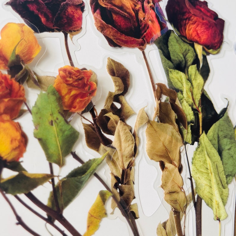 6 große transparente Vinyl Wildblumen Aufkleber, wasserdicht wiederverwendbar, klar gepresste Blume Blumenstamm Rose Sonnenblume, Journal Card Craft Bild 6