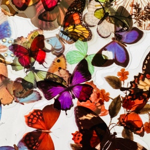 11 Vinyl klarer realistischer Schmetterlings-Aufkleber, wasserdichtes wiederverwendbares Set, transparente Flügel-Insektenmotte, Journalglas-Sammelalbum-Handwerkskunst
