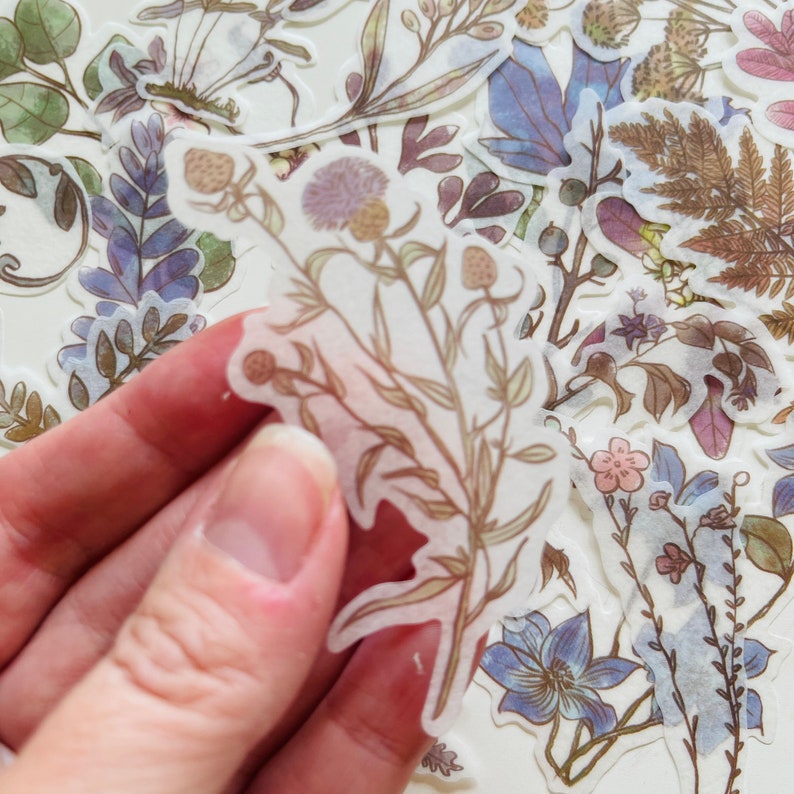 30 Opaque Flower Stem Sticker Pack Vintage Wildflowers - Etsy