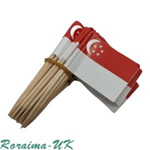 50 pieces Singapore Toothpicks MINI Flags Paper Sticks Party Cocktail Catering Countries