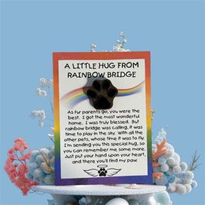 Carte câlin de poche pont arc-en-ciel Pet Paw - sympathie, perte d'un animal de compagnie, cadeau commémoratif