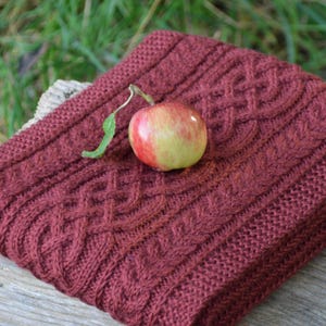 May include: A close-up of a knitted burgundy scarf with a cable knit pattern. A red apple with a green stem is resting on the scarf.