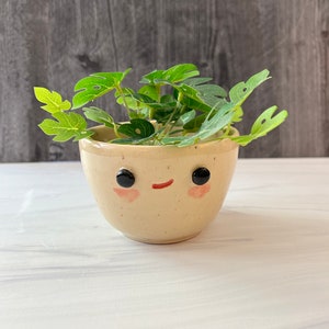 May include: A small, beige ceramic planter with a hand-painted smiley face and black eyes. The planter is filled with a small green plant.