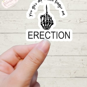 Funny Quote Sticker, Middle Finger, Sticker, Sarcastic Sticker, Funny Sticker, Sticker, Sticker Gift, Fun Decal, Laptop Decal, Car Decal