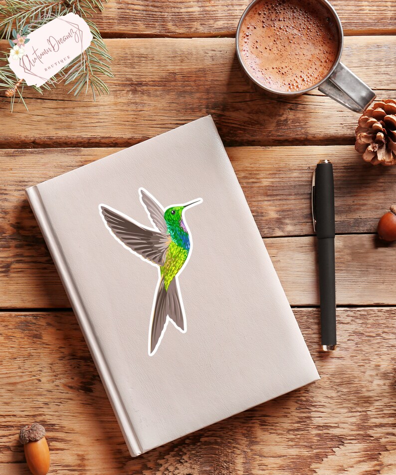 Hummingbird Sticker, Premium Vinyl Decal, High Gloss, Waterproof - Etsy