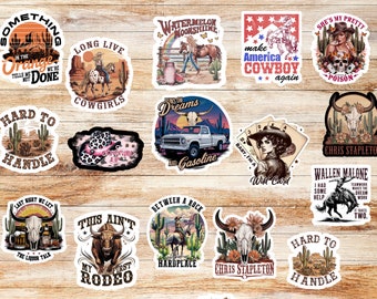 Western style cowgirl stickers pack, mystery pack, country, rodeo girl gift, cowboy, western lifestyle, rustic loving, aesthethic stickers
