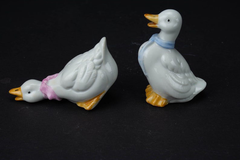 Mr and Mrs Duck Salt and Pepper Shakers Ceramic Duck Salt Etsy