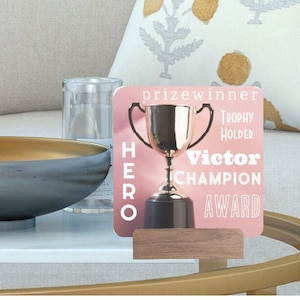 I want this &quot;Hero&quot; Award!
