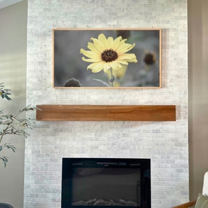 Samsung Frame TV Art Set of 3 Photographs, Florals, Digital Download