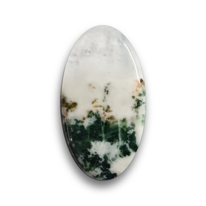 Natural Tree Agate Oval Shaped 45x24x5 MM 52.22 Ct Oval Shaped Cabochon by HK International Gems