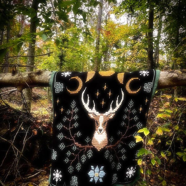 MODELLO PDF - Coperta magica del solstizio d'inverno - tema natura cottagecore, goblincore, con funghi, cervi, fasi lunari, fiocchi di neve, per yule