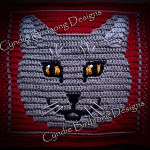 PATRON PDF - Carré au crochet en mosaïque « Cœur sauvage - Gros chat »