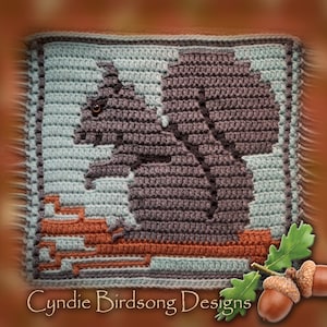 May include: A crocheted square featuring a gray squirrel sitting on a branch. The background is a light blue color with a brown border. The image includes the text "Cynie Birdsong Designs".