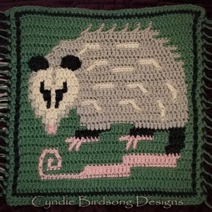 Può includere: Un quadrato all'uncinetto con un opossum grigio e bianco con occhi neri e un naso rosa. L'opossum è rannicchiato su uno sfondo rosa e verde. Il quadrato è bordato di nero e ha una frangia verde.