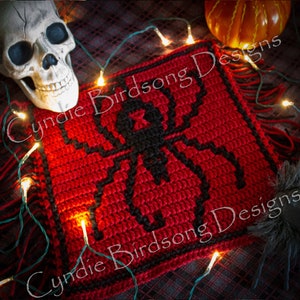 May include: A red crocheted square with a black spider design and fringe. The square is surrounded by white Christmas lights and a skull.