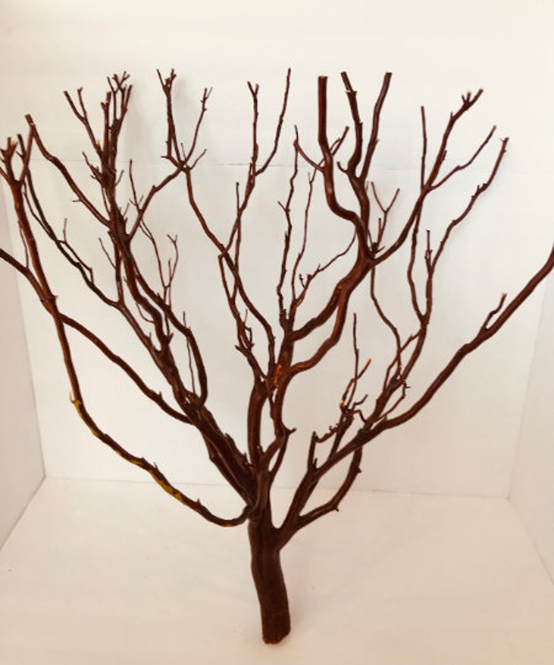 Tree 24 Inches Tall/natural Red Manzanita Branch Craft Etsy