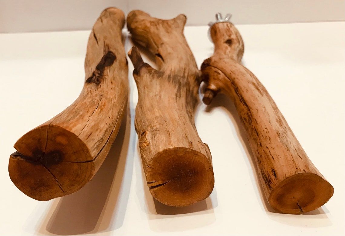 Thick Bird Perches for Large Birds Etsy