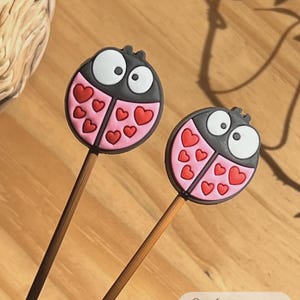 Könnte beinhalten: Zwei Marienkäfer-Gartenstecker. Jeder Stecker hat einen schwarzen Kopf mit großen weißen Augen und einen rosa Körper, der mit roten Herzformen verziert ist. Die Stecker haben braune Stiele und sind auf einer Holzoberfläche platziert.