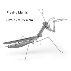 May include: A metal model of a praying mantis, assembled and ready to display. The model is silver in colour and measures 12 x 9 x 4 cm.