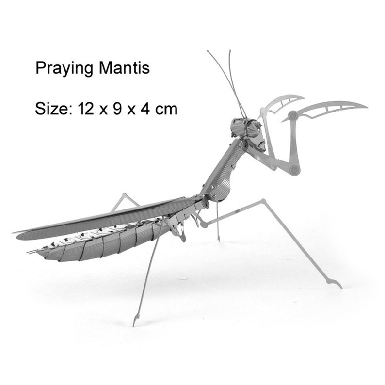 May include: A metal model of a praying mantis, assembled and ready to display. The model is silver in colour and measures 12 x 9 x 4 cm.