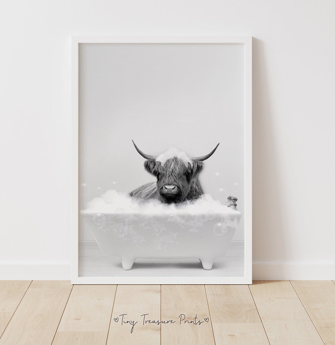 Scottish Highland Cattle a Bathtub Print, Cow Bathing, Funny Bathroom ...