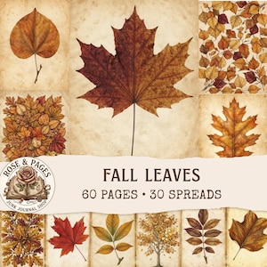 Autumn Leaves Junk Journal Pages, Vintage Ephemera Fall Foliage Scrapbook Paper, Botanical Leaf Digital Paper, 60 A4 Pages 30 Spreads
