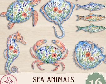Paquete de imágenes prediseñadas de animales marinos en acuarela costera y recortes precisos, PNG floral del océano, tortuga, cangrejo y estrella de mar para imprimir, imágenes prediseñadas náuticas
