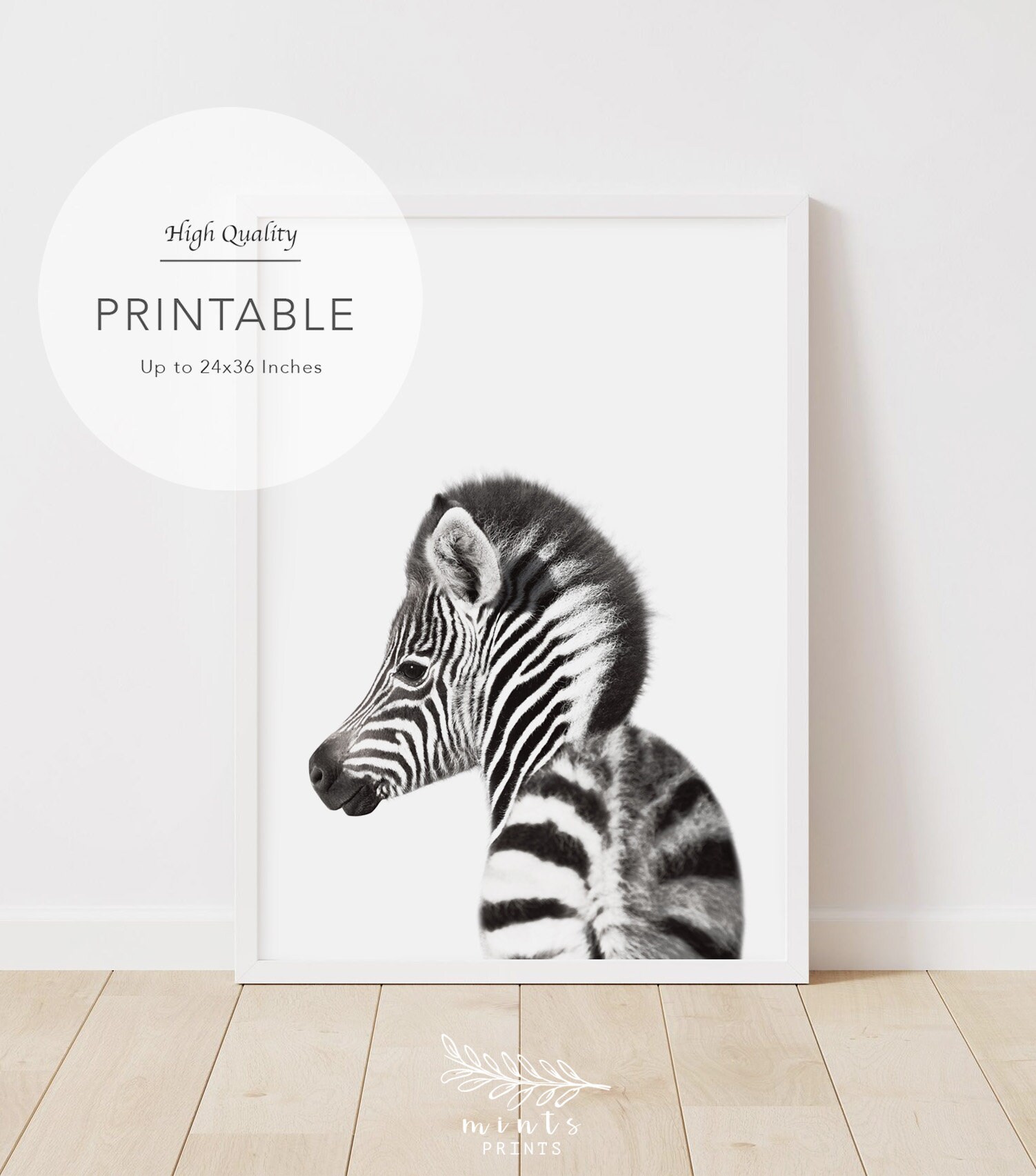 Nursery Safari Animals Baby Zebra print Nursery Wall Art Etsy