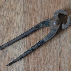 May include: A rusty pair of black pliers with a rounded head and a slightly bent handle.