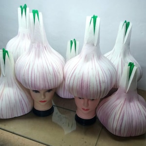 Puede incluir: Una colección de tocados en forma de bulbo de ajo blanco y morado con detalles verdes. Los tocados se exhiben en cabezas de maniquíes. Los bulbos de ajo tienen rayas verticales moradas y una parte superior verde.