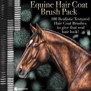 May include: A brown horse with a white star on its forehead, looking to the left. The horse is surrounded by a background of green and blue fur-like textures. The text "Equine Hair Coat Brush Pack" is at the top of the image, with the text "100 Realistic Textured Hair Coat Brushes to give that real hair look!" below it.