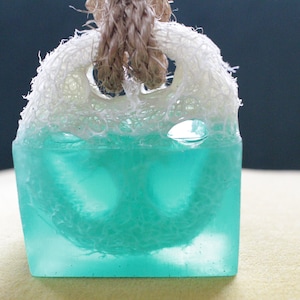 Eucalyptus Aloe Glycerin Soap with Natural Loofah Sponge