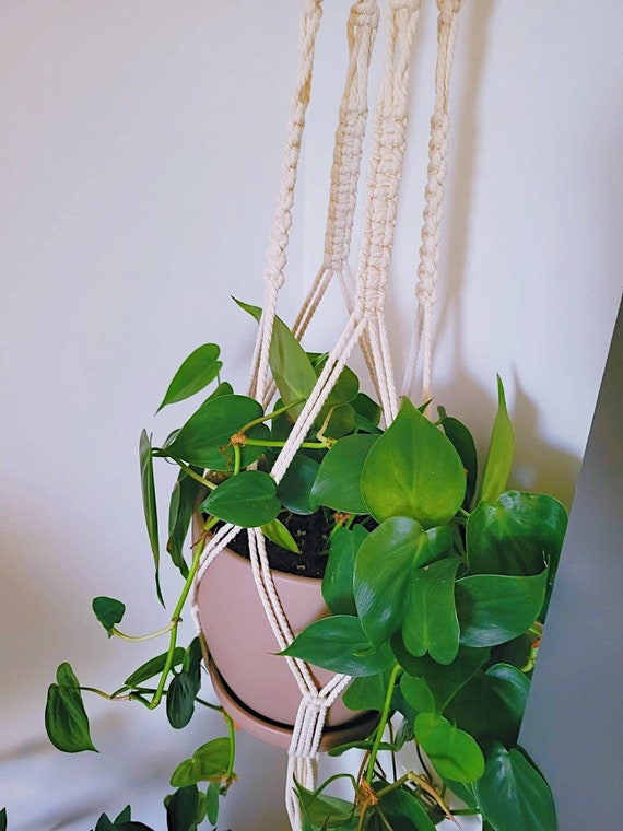 Macrame Plant Hanger / Boho Plant Hanger / Large Plant Hanger Etsy