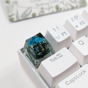 Blumen-Resin-Schlüsselkappe: Moos & Schleierkraut - Esc-Schlüssel